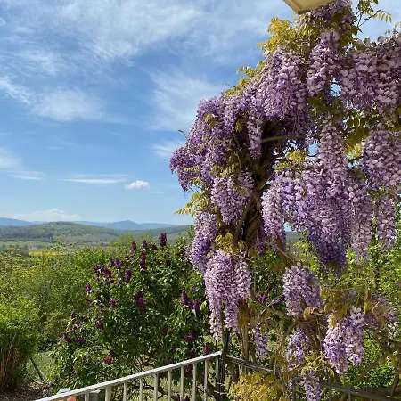Les Terrasses Du Stierkopf Molsheim