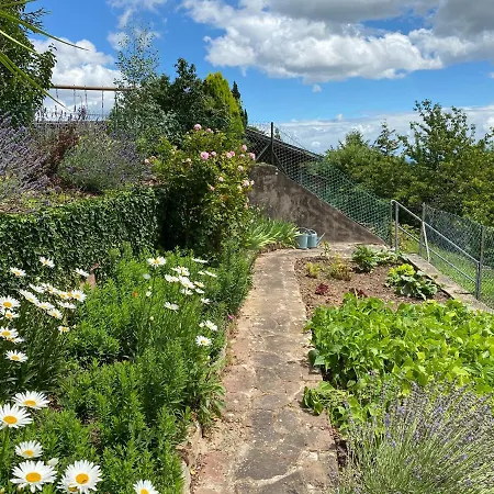 Les Terrasses Du Stierkopf * Molsheim